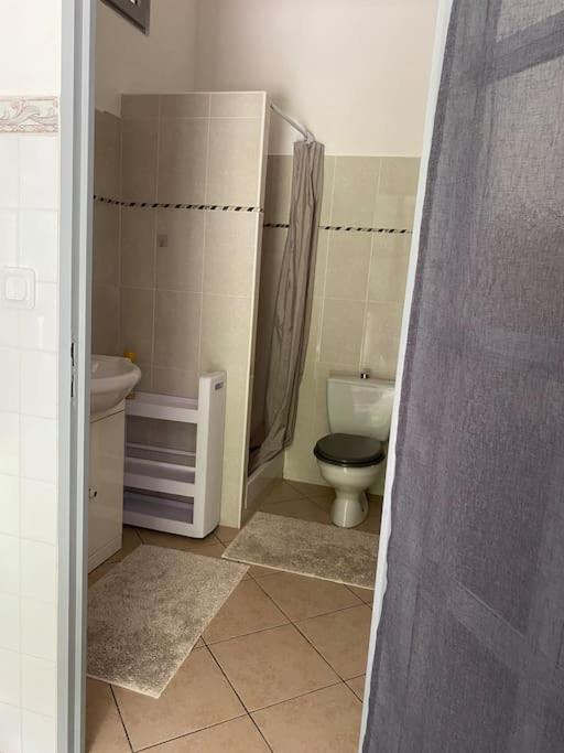 Villa Serenice - F2 Au Calme, Climatise, Wifi Et Parking Gratuit 외부 사진