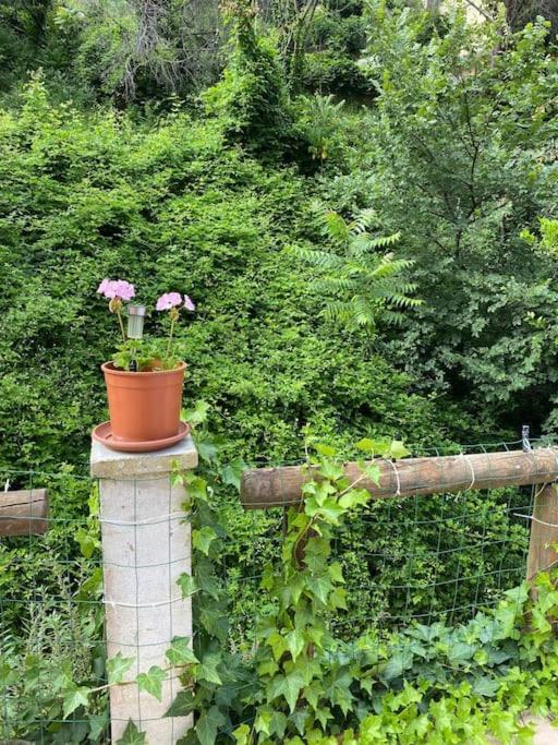 Villa Serenice - F2 Au Calme, Climatise, Wifi Et Parking Gratuit 외부 사진